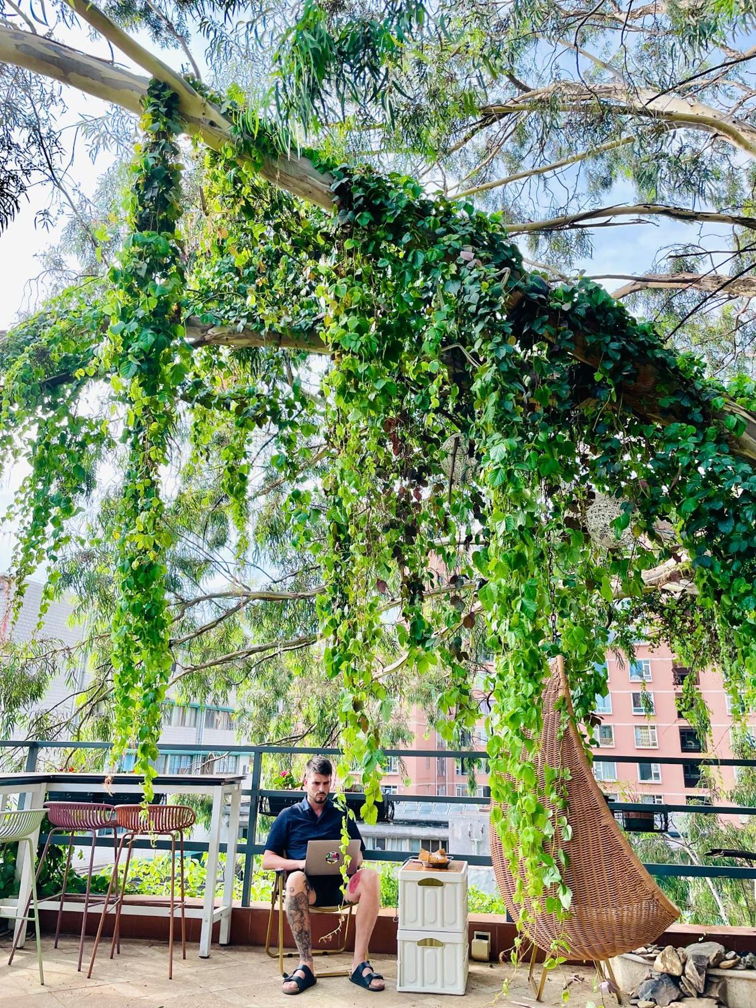 Kunming Upland International Youth Hostel Near The City Center ,2 Mins Walk To The Subway, 2 Mins Walk To The Green Lake, Close To Yuan Tong Temple, Old Street, Yunnan University, Convenient Payment And Visa Cards Are Accepted Eksteriør bilde